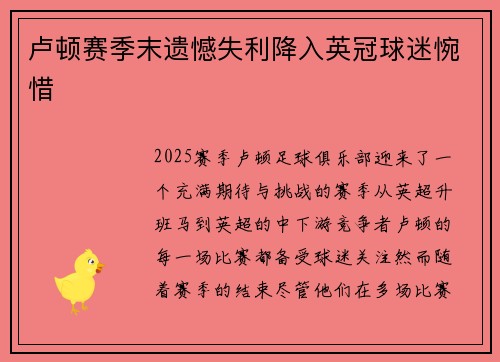 卢顿赛季末遗憾失利降入英冠球迷惋惜 卢顿赛季末遗憾失利降入英冠球迷惋惜